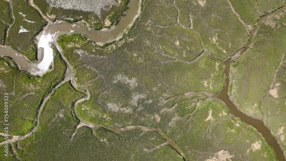 Naklejka premium Natural salt water marsh and wetlands on coast of South Carolina beside intracoastal waterway between Georgetown and Charleston, SC