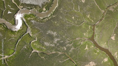 Natural salt water marsh and wetlands on coast of South Carolina beside intracoastal waterway between Georgetown and Charleston, SC photo