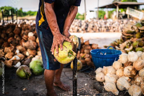 Coconut farmers are peeling old coconuts with long pointed spears to make coconut milk. © Chay