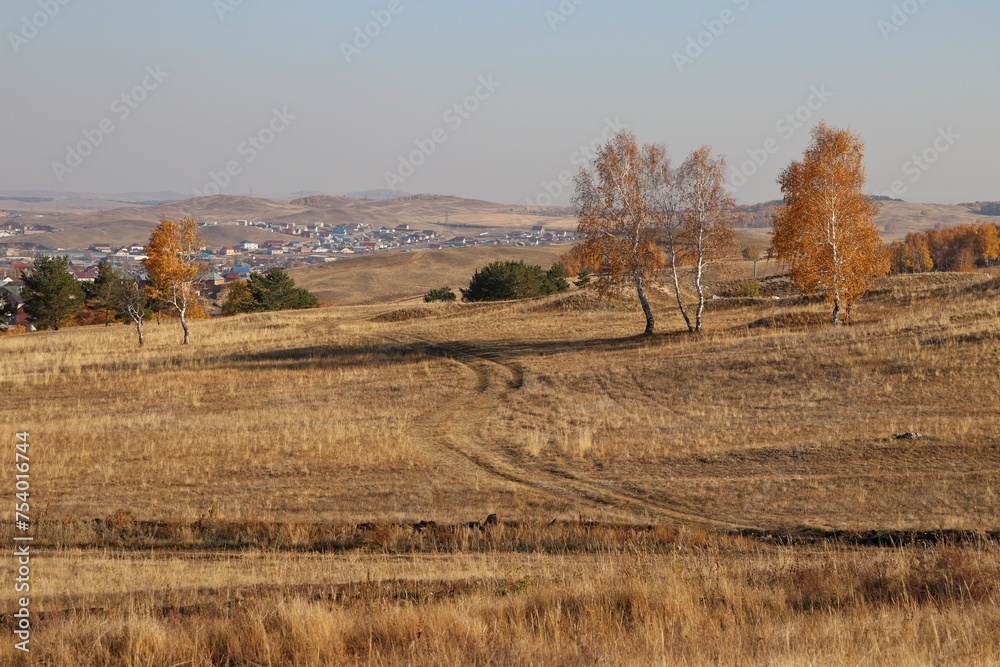 Obraz premium autumn landscape with trees