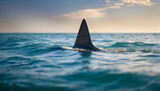 Distant shark fins pierce ocean surface with intense lighting, evoking suspense and danger. Space for caption