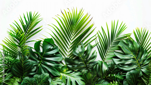 Beautiful pandani leaf background with white paper a refreshing and serene combination