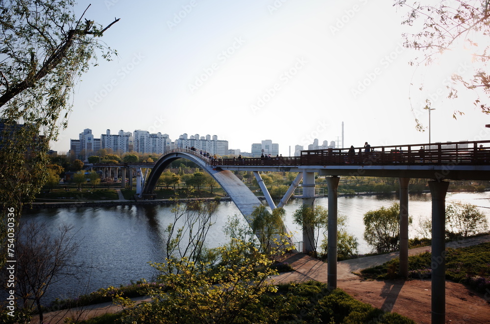 Obraz premium Korean style park, Seoul garden, Seoul spring Han River