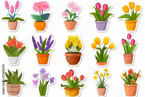 Set of potted flowers