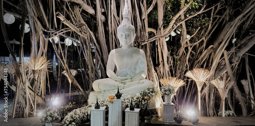 Canvas Print White buddha