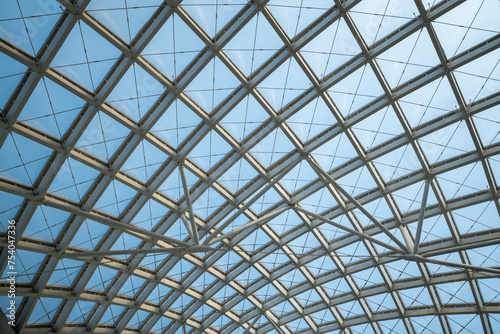 Mesh metal frame skylight in exhibition hall