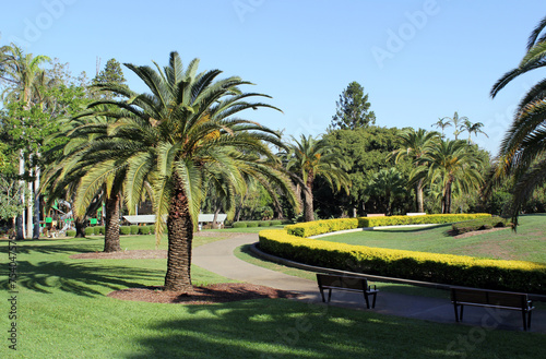 Palm trees, path and park bench seat at the Rockhampton Botanic Gardens in Queensland, Australia