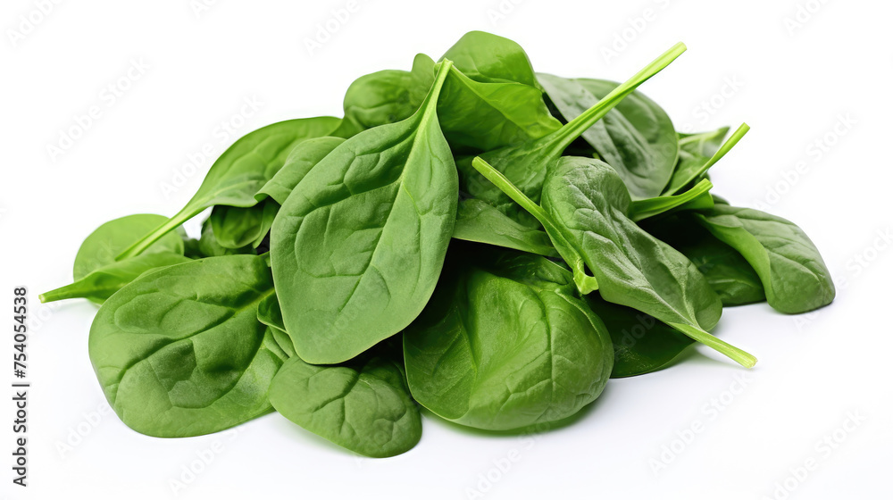 Fresh green spinach vegetable isolated on white background Fresh green spinach vegetable isolated on white background