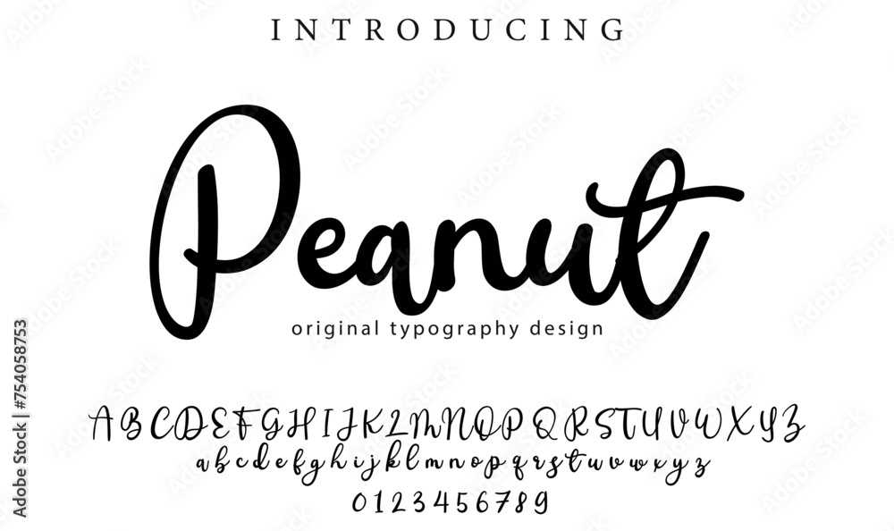 Peanut Font Stylish brush painted an uppercase vector letters, alphabet, typeface Peanut Font Stylish brush painted an uppercase vector letters, alphabet, typeface