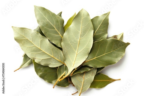 A bunch of bay leaves are piled on top of each other. The leaves are green and appear to be fresh