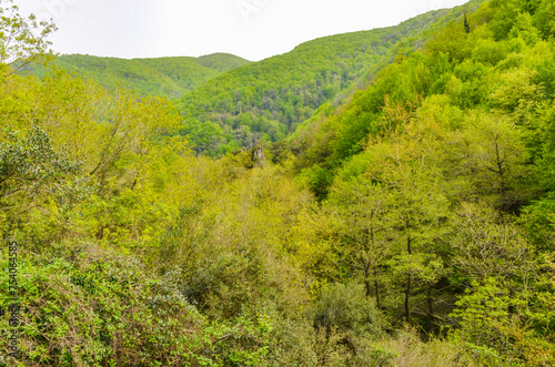 scenic view of Yesil Vadi (Green Valley) near Termal (Yalova, Turkiye) 