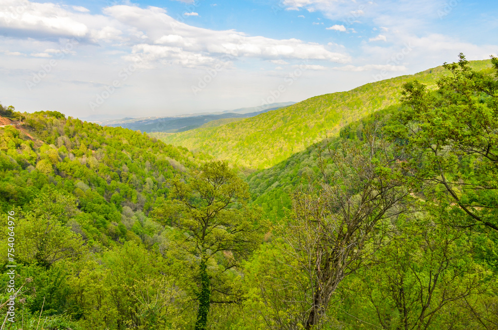 scenic view of Yesil Vadi (Green Valley) near Termal (Yalova, Turkiye) 