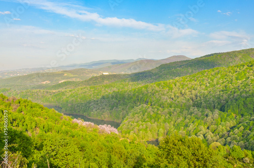 Fototapeta Naklejka Na Ścianę i Meble -  scenic view of Gökçe Reservoir inlet and mountains in spring near Termal (Yalova, Turkey)