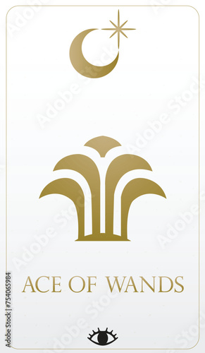 Tarrot Cards Designs for All needs
