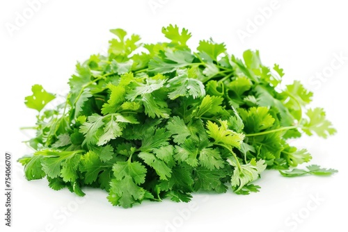 A bunch of fresh green cilantro is piled on a white background. The cilantro is fresh and green, and ready to be used in a recipe