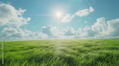 A serene scene with a white cloud bank, a blue sky, green grass, and a bright sun - it looks like heaven on earth photo