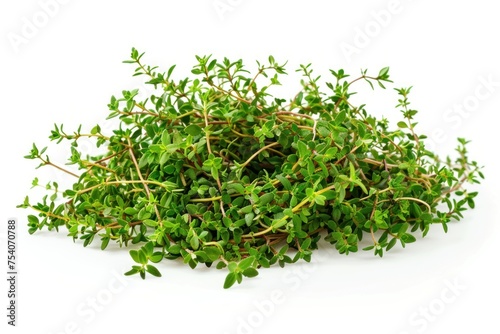 A bunch of green thyme are piled on top of each other. The thyme are fresh and healthy looking