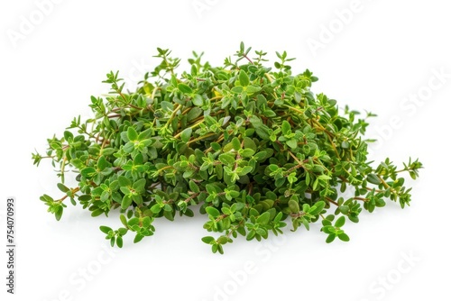 A bunch of thyme are piled on top of each other. The thyme are fresh and vibrant  and they create a sense of abundance and growth.