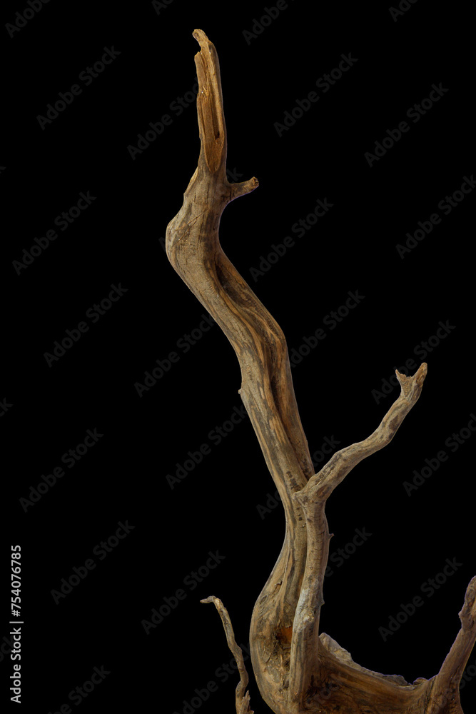 Aesthetic driftwood texture for decoration isolated on black background with clipping path Aesthetic driftwood texture for decoration isolated on black background with clipping path