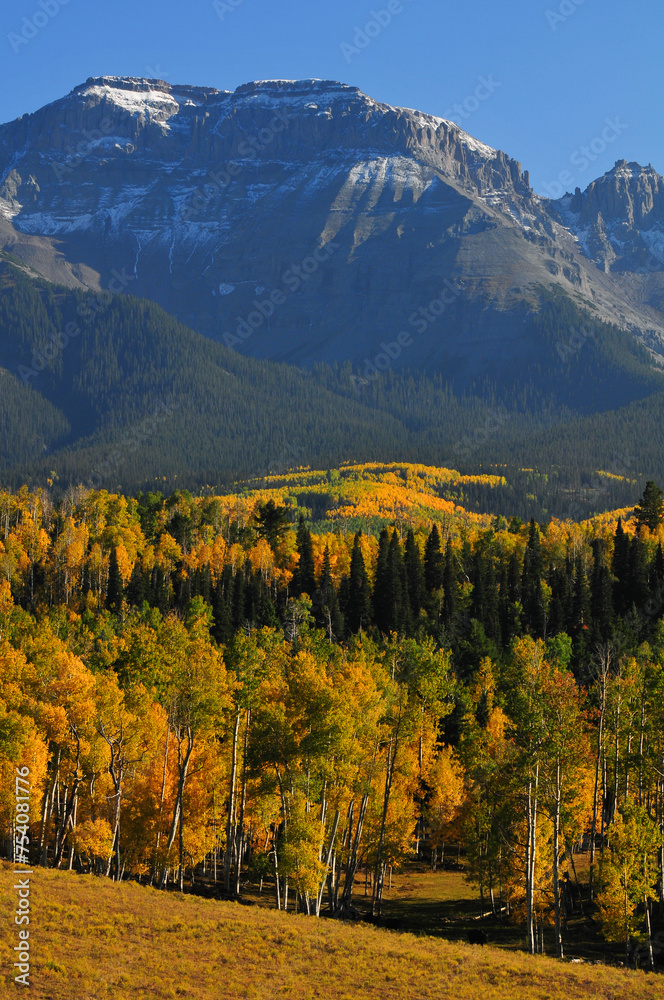 Late afternoon light on fall colors up the slopes of Whitehouse Mountain on the Sneffels Range of the San Juan mountains, from a country road near Ridgway, Colorado, USA.