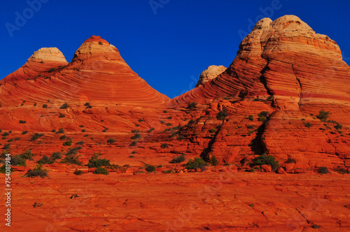 Sandstone teepees close to The Wave, Coyote Buttes North, Vermilion Cliffs National Monument, Arizona, USA. photo