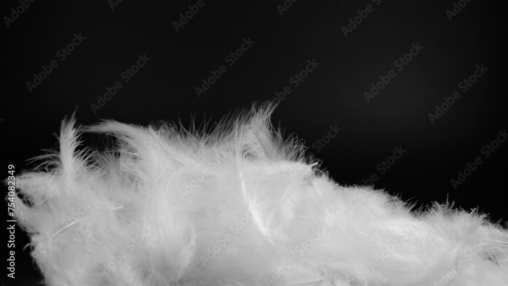 Slow motion closeup of flying white fluffy feathers isolated on black background Slow motion closeup of flying white fluffy feathers isolated on black background