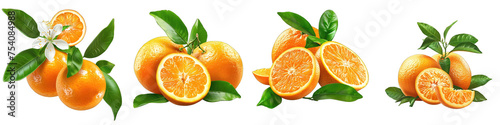 Ripe delicious oranges branch  Hyperrealistic Highly Detailed Isolated On Transparent Background Png File