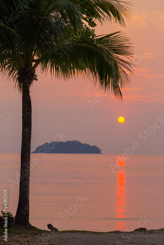 Sunset on tropical beach.