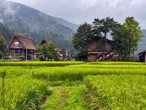 Scenic Tranquility: A Glimpse into Rural Life in Shirakawa Go, Japan