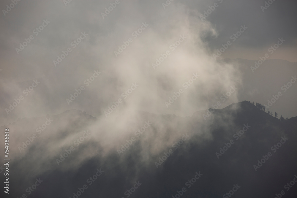Afternoon fog rolls through the San Gabriel Mountains in Mount Wilson, California, USA. Afternoon fog rolls through the San Gabriel Mountains in Mount Wilson, California, USA.