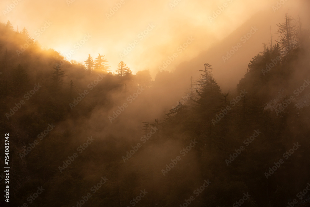 Foggy sunset view of Mt. Lowe on the Eaton Saddle Trail in the San Gabriel Mountains of Mount Wilson, California, USA. Foggy sunset view of Mt. Lowe on the Eaton Saddle Trail in the San Gabriel Mountains of Mount Wilson, California, USA.