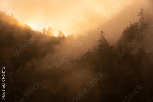 Foggy sunset view of Mt. Lowe on the Eaton Saddle Trail in the San Gabriel Mountains of Mount Wilson  California  USA.