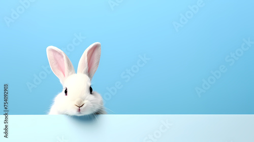 Cute bunny, easter background © ma