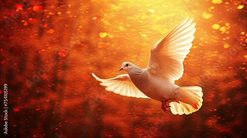 A white dove flying in the sky with orange and red colors in the background