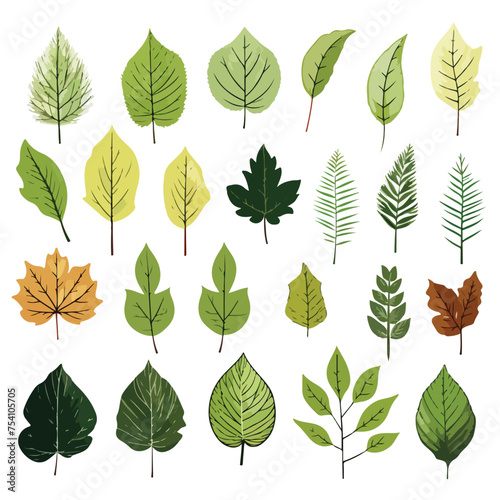 A collection of different types of leaves. Vector clipart. © Nobel
