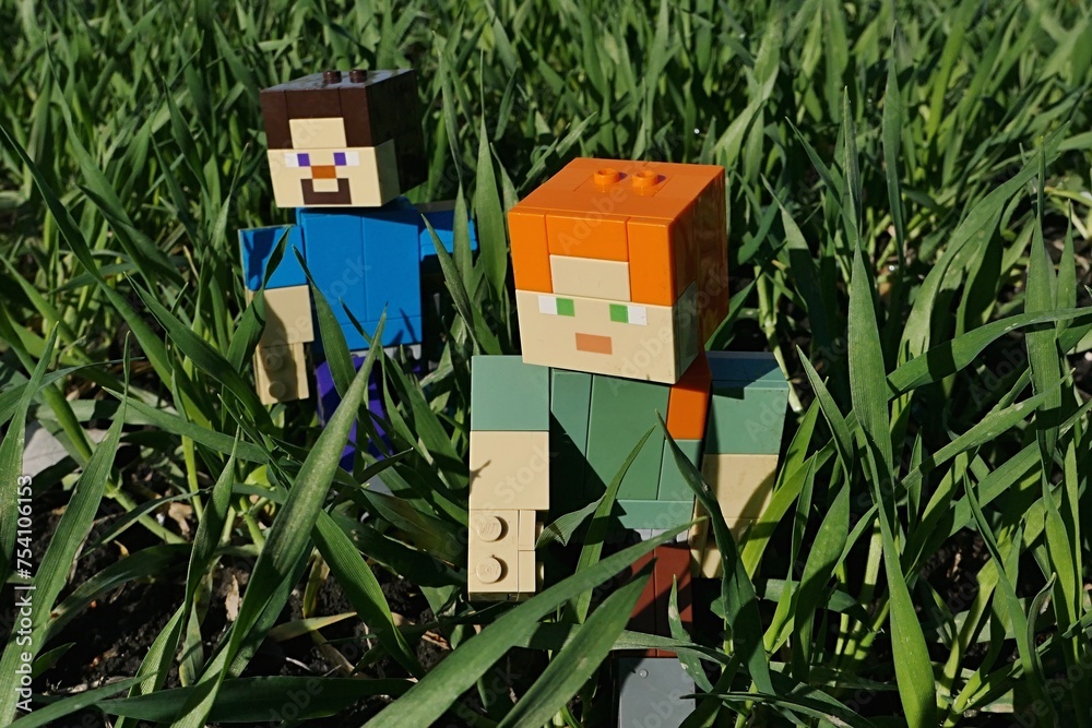 Fototapeta premium LEGO Minecraft figures of Steve and Alex exploring green wheat sprouts foliage on agricultural field during march early spring season, sunlit by morning sunshine. 