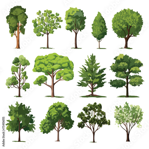 A collection of different types of trees. Vector clipart.