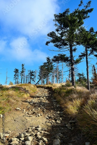 Summer landscape of the Beskydy Mountains, Poland