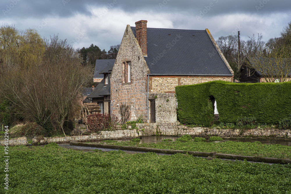 Obraz premium Watercress in Veules-les-Roses with an old water mill in Normandy, France