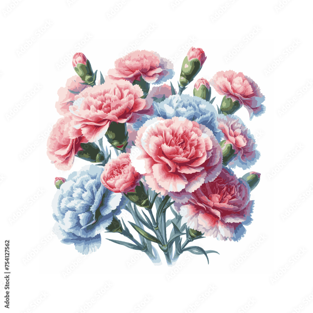 watercolor of Carnation isolated on white background watercolor of Carnation isolated on white background