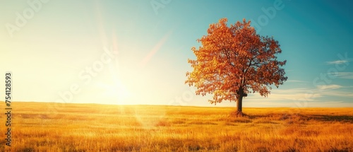 Solitary Tree in Golden Field at Sunrise