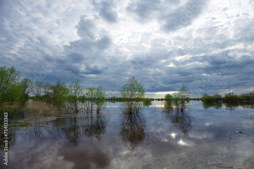 spring landscape with the river and blue sky