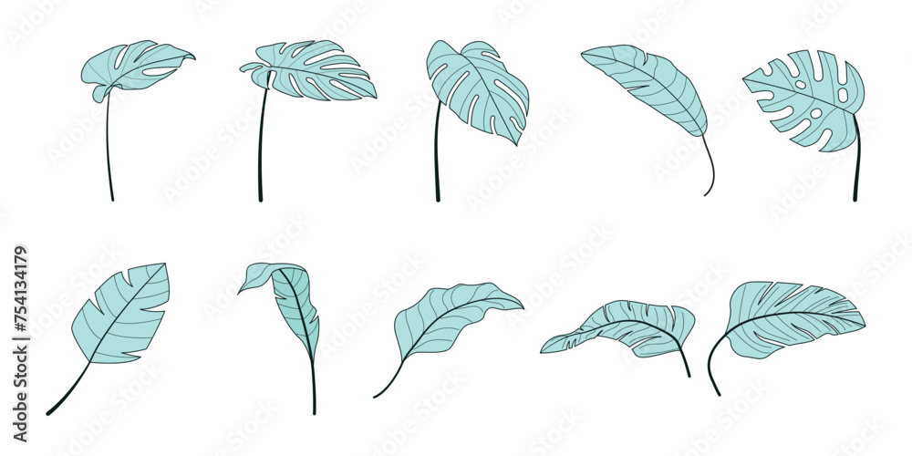 Obraz premium Tropical Leaves Bright