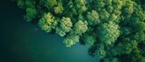 Aerial View of Pristine Lake Bordering Lush Forest