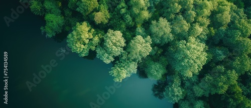 Aerial View of Pristine Lake Bordering Lush Forest