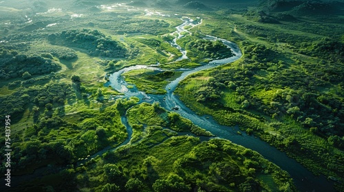 aerial view river delta with lush green vegetation