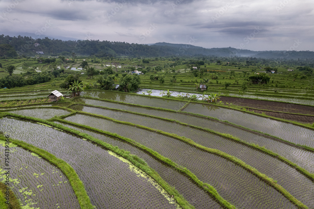 Picturesque paddy rice terrace fields at Maha Ganga valley of Karangasem district in tropical Bali island, Indonesia