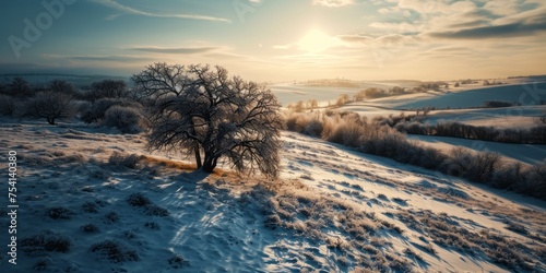 Amazing winter nature landscape in warm sunlight at sunset. Fog and frost. Snowy winter scene in sun light. Vivid sunbeams behind trees. Christmas background. Natural wild winter nature in january © AI Studio