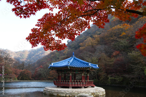 landscape with autumn maples and a pavilion on the lake