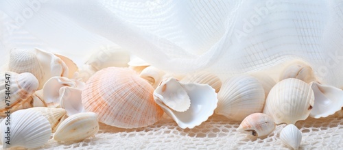 Various seashells and clams are scattered haphazardly on a white lace tablecloth. The shells are diverse in size and color, creating an oceanic feel against the delicate background.